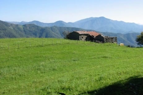 20120513-150332.jpg